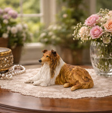 Border Fine Arts Rough Collie