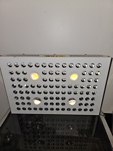 Wills full spectrum led grow - wills,