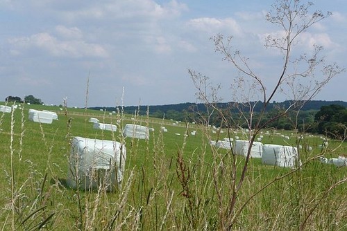 Photo 6x4 silage recently - 6x4,