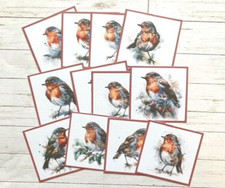 Winter Robins Christmas Card