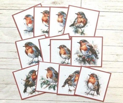 Winter robins christmas card - winter,