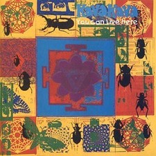 Kava Kava - You Can Live Here