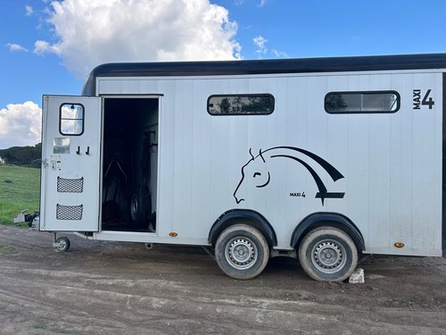 Cheval liberté maxi 5t - maxi, 4