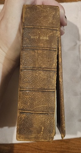 1804 holy bible printed - printed, by