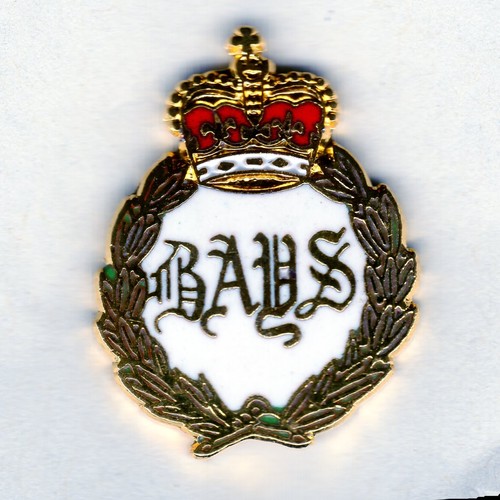 Enamel lapel badge 2nd - badge, dragoon