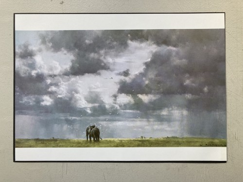 African wildlife print - wildlife,