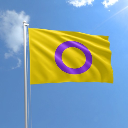 Intersex pride flag 5x3 - flag, ft