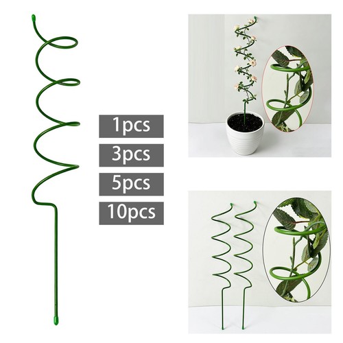 Spiral plant stake support - plant,