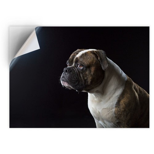 Vinyl sticker adult - vinyl,