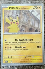 Pikachu At The Museum