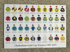 Cheltenham Festival horse