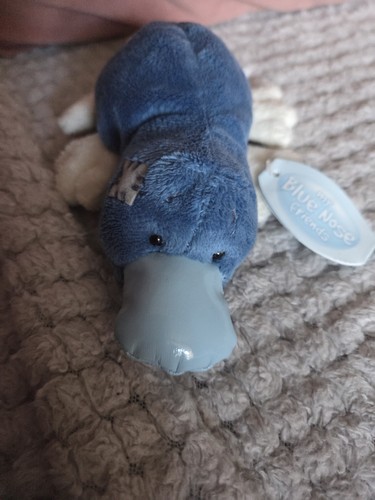 You blue nose - me,