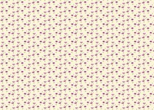 Pink Poppy Wallpaper for 12th