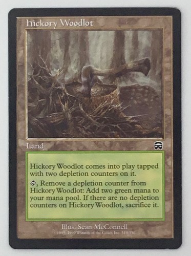 Mtg hickory woodlot - hickory, land