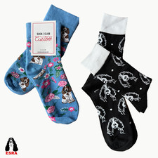 Custom Unisex Springer Spaniel