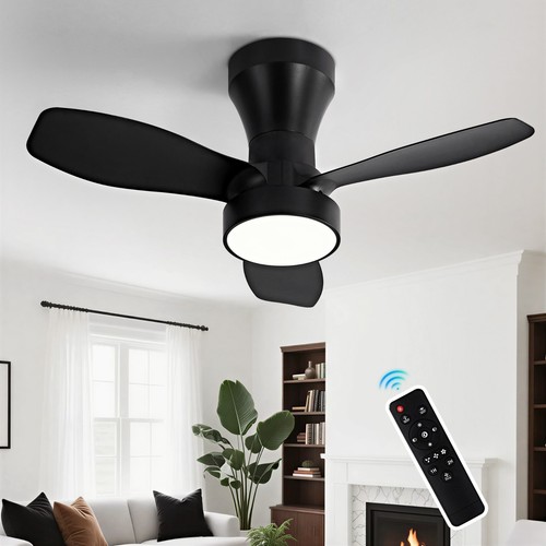 Ceiling fan light with - fan,