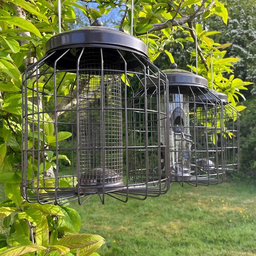 Hanging bird feeders heavy - hanging,