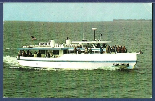 Fishing boat dolphin - fishing,