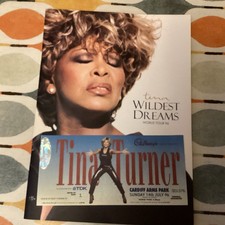 Tina Turner Wildest Dreams