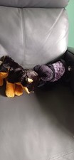 Toys are animal alley dog - us,