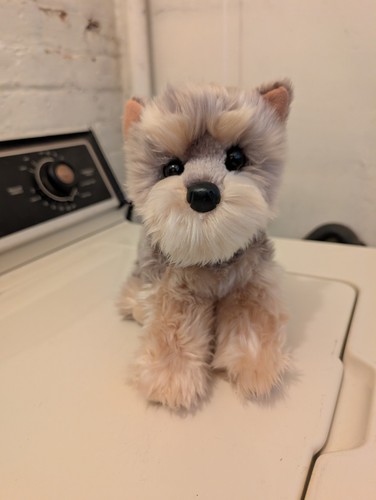 Douglas yorkie 1897 - douglas, #1897