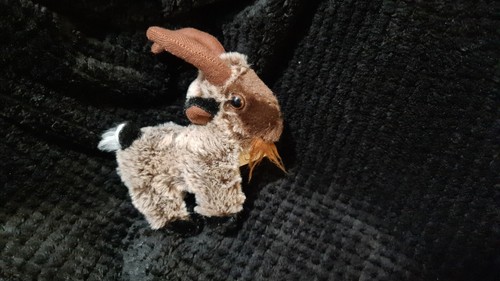 Goat plushie - goat,