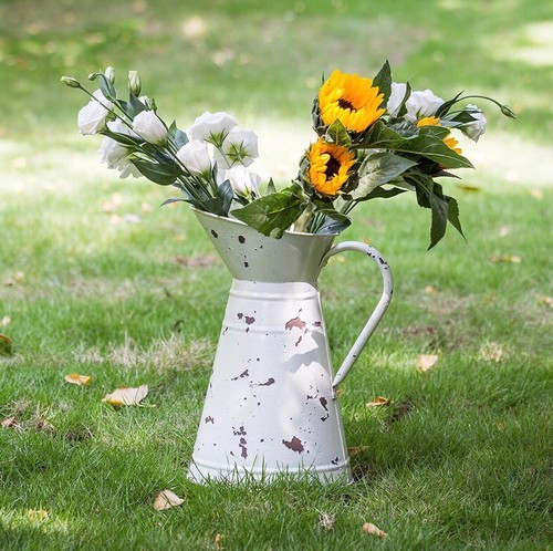 Large white cream - /, hortican