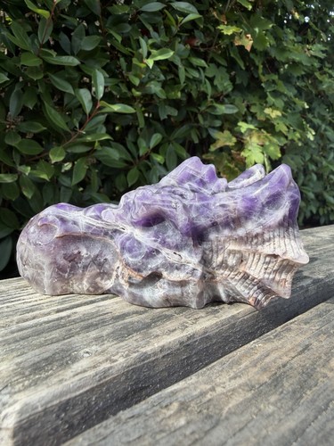 Dream amethyst dragon head - amethyst,