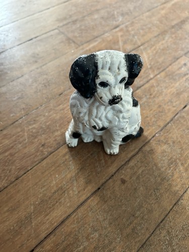 Cocker spaniel black white - spaniel, &