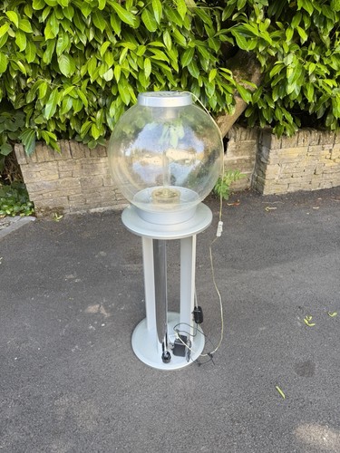 Biorb 30l fish tank - fish,
