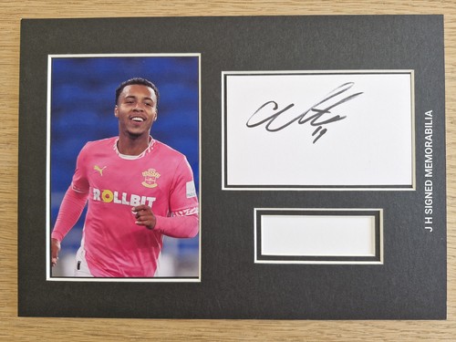 Southampton cameron archer - southampton,