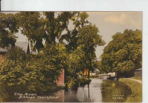 Bishop stortford - bishop,