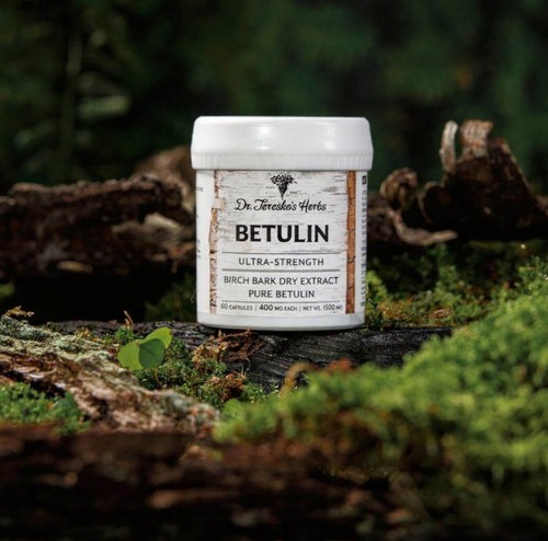 Betulin birch bark extract - birch,
