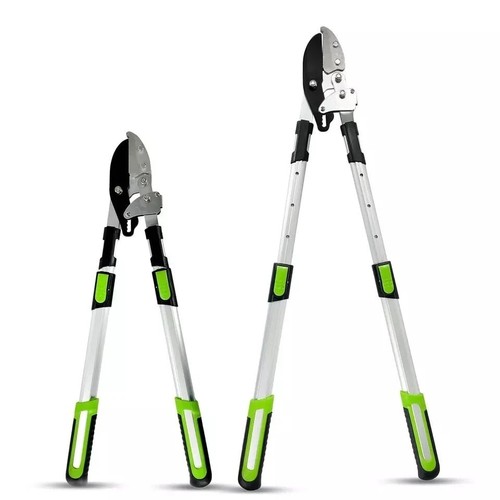 Ratchet tree anvil lopper - ratchet,