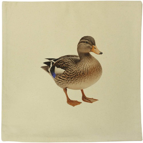 Mallard duck canvas - 'mallard,