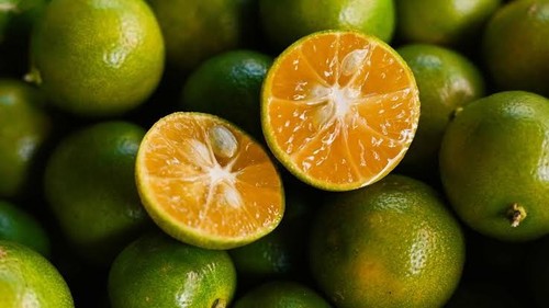 Live calamansi - live, lime)