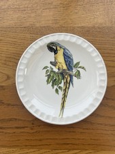 Macaw Trinket Plate Vintage