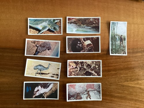 Lyons tea australia cards - 4,