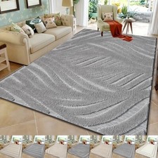 Extra large area - large,