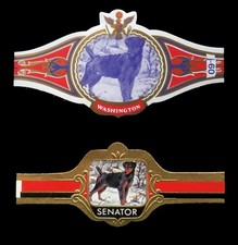 JAGDTERRIER German Hunting