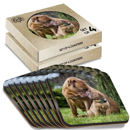 Boxed square coasters - x,