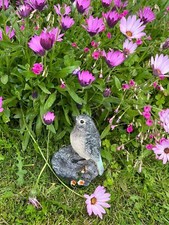 Latex mould make this bird - latex,