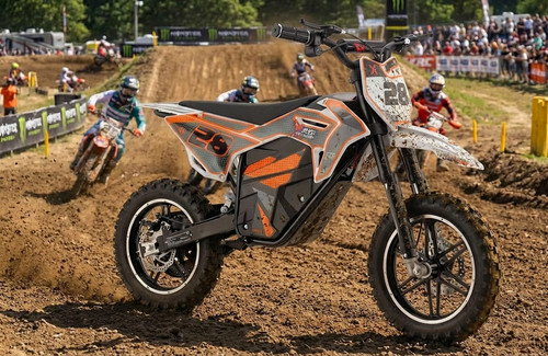 36v 800w mini dirt bike - mini,