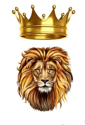 Lion art edible - , topper