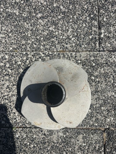 Used genuine sea - used,