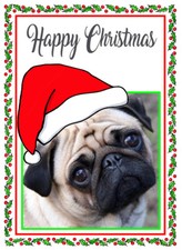 PUG DOG SANTA HAT CUTE QUALITY GLOSSY CHRISTMAS CARD 8"x 6" FREE POST