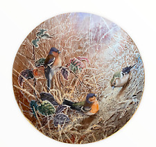 Coalport Collectors Decorative Plate CHAFFINCHES From FROSTY MORNINGS