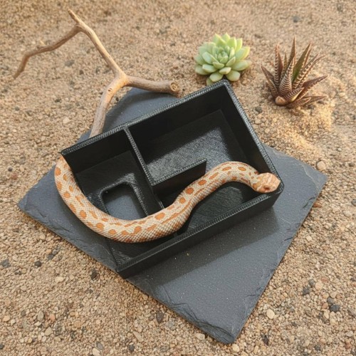 Snake hide box safe - box,