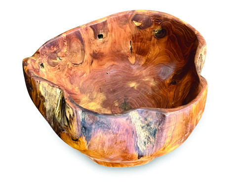 Teak root fruit - teak,