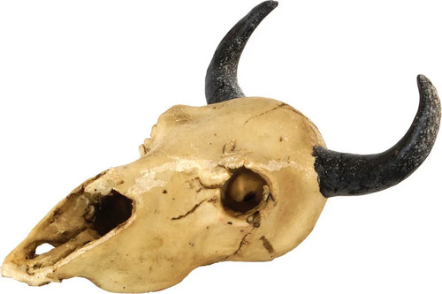 Repstyle skull goat 16 - goat, 16.5